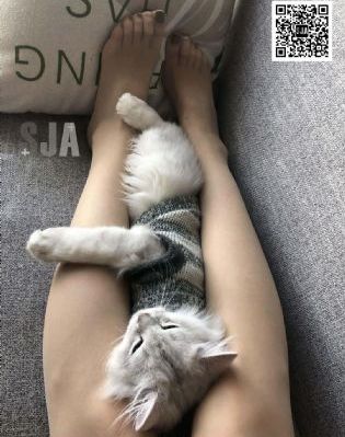 韩国家教_4K免费观看超清