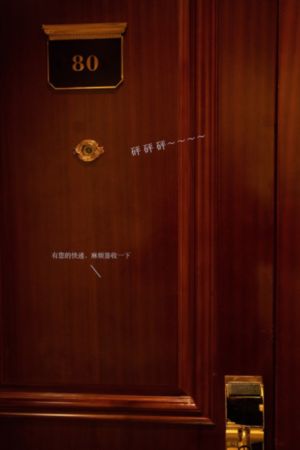 乘风破浪的姐姐第二季免费完整版_剧情片高清免费观看