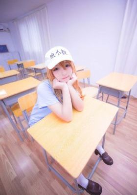 狂野大陆熊出没免费观看完整版_BD日本电影免费